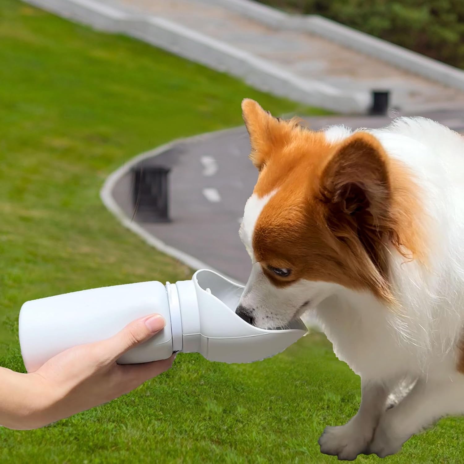 Portable Dog Water Bottle with Collapsible Travel Bowl