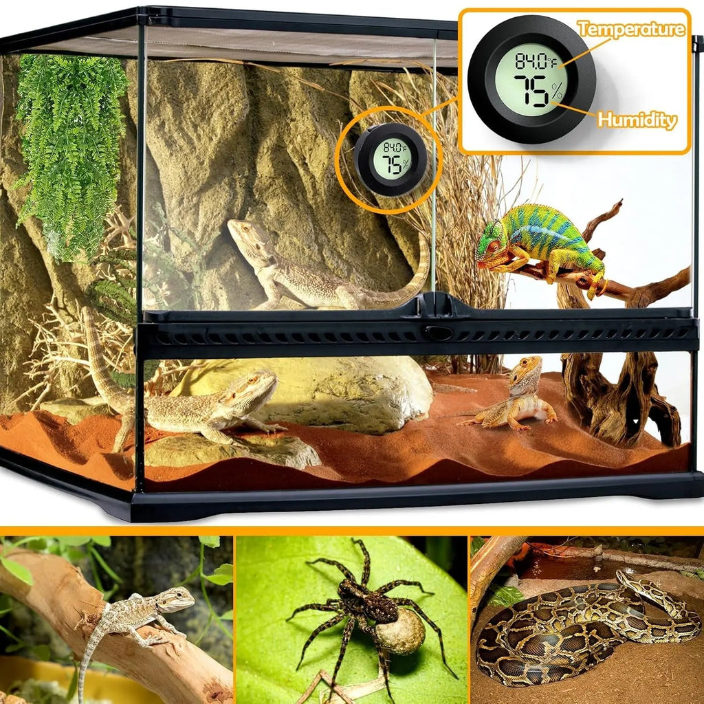 Digital Reptile Thermometer & Hygrometer