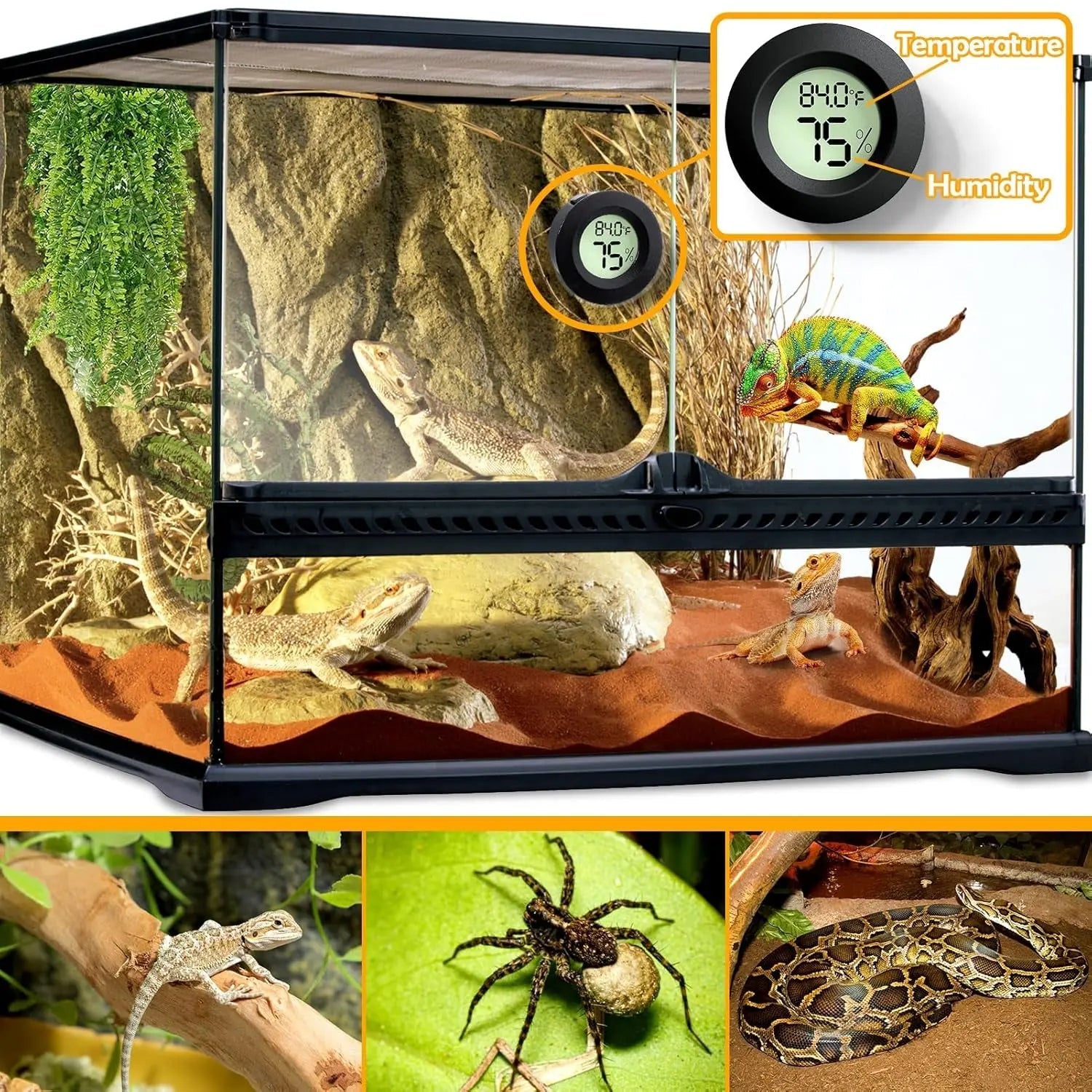 Digital Reptile Thermometer & Hygrometer