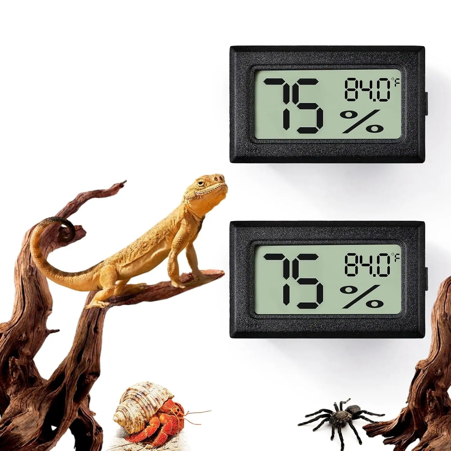 Digital Reptile Thermometer & Hygrometer
