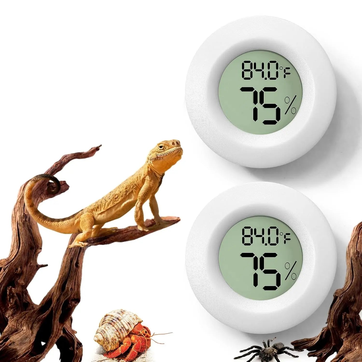 Digital Reptile Thermometer & Hygrometer