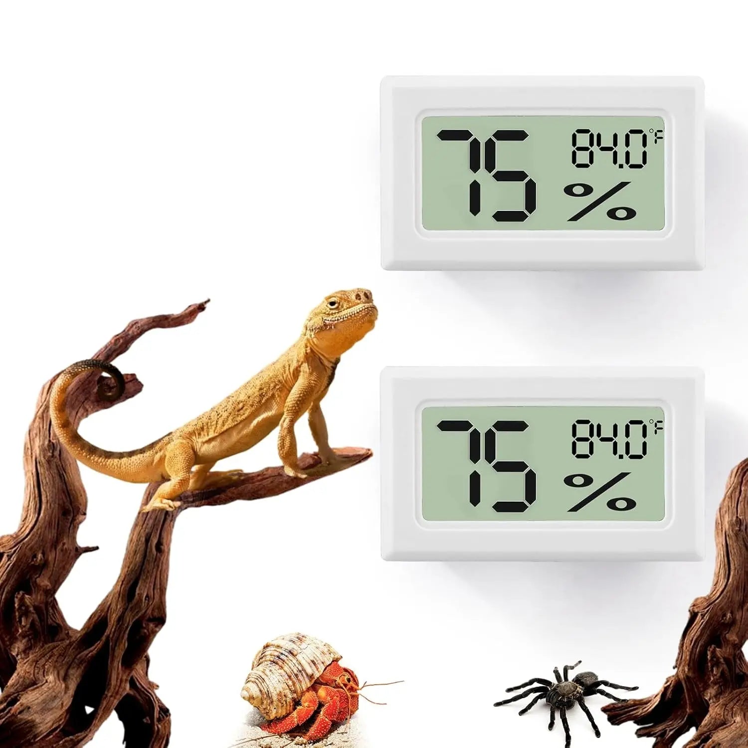 Digital Reptile Thermometer & Hygrometer