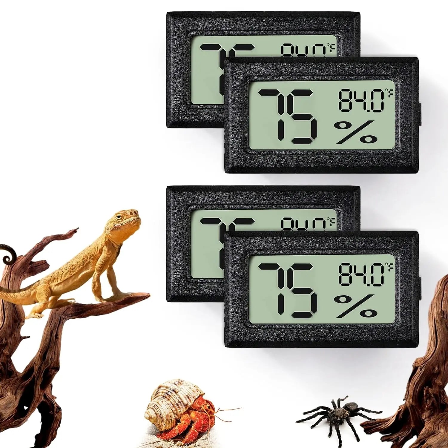 Digital Reptile Thermometer & Hygrometer