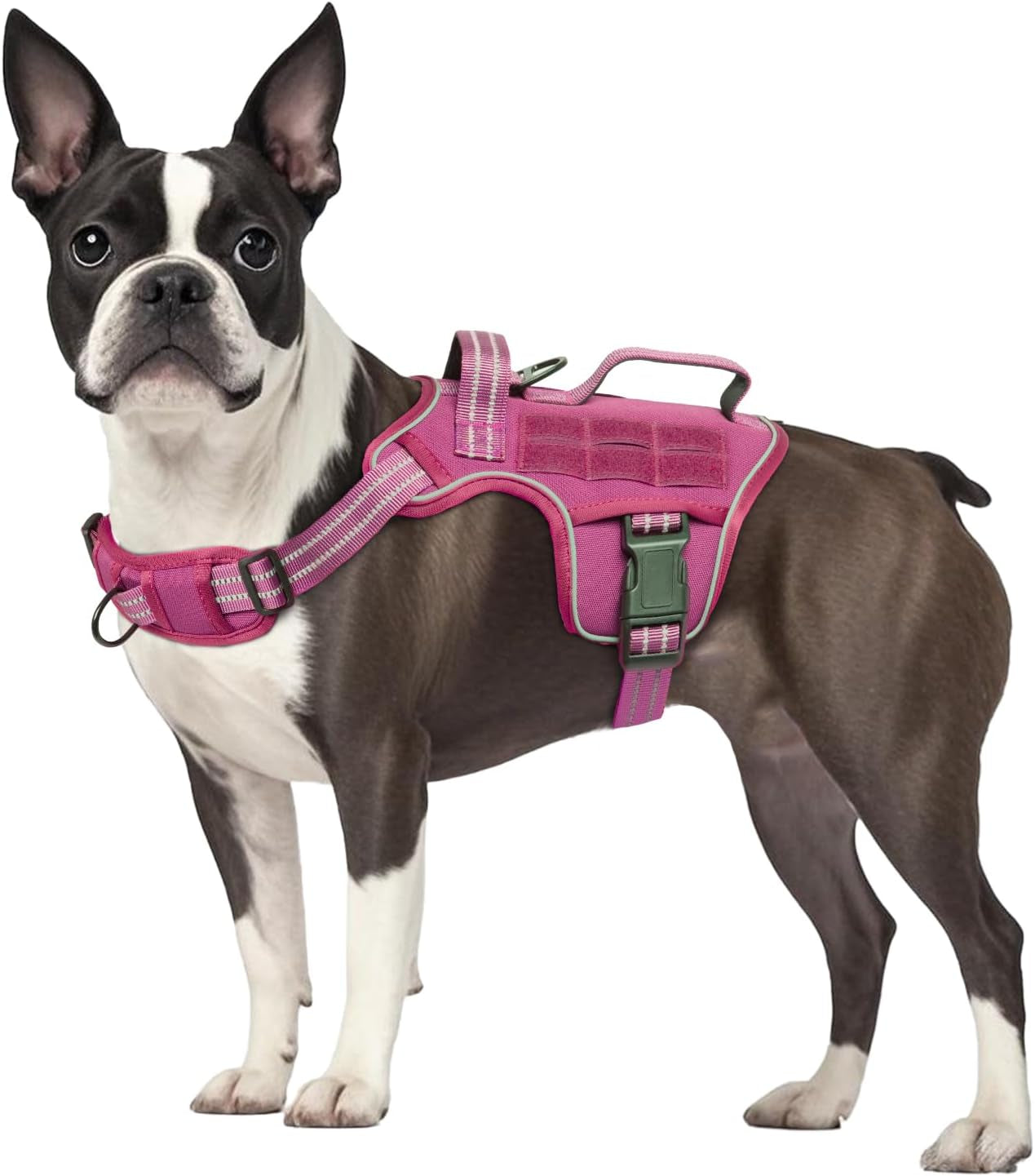 No-Pull Tactical Dog Harness with Molle System