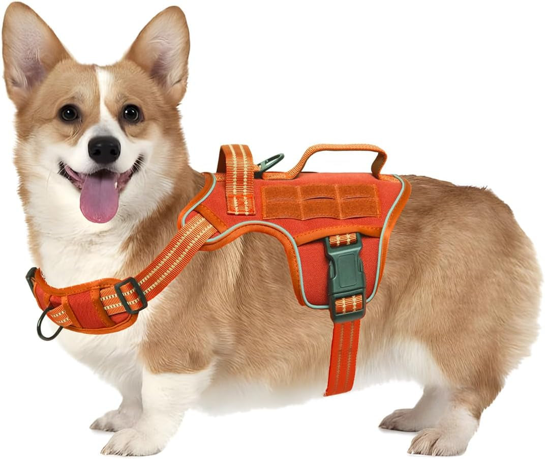 No-Pull Tactical Dog Harness with Molle System
