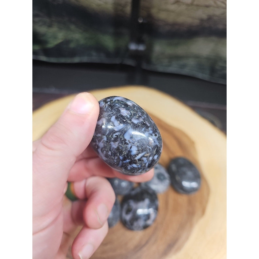 Polychrome Merlinite Gabbro Palm Stones — 5-Piece Set | Natural Crystal from Madagascar