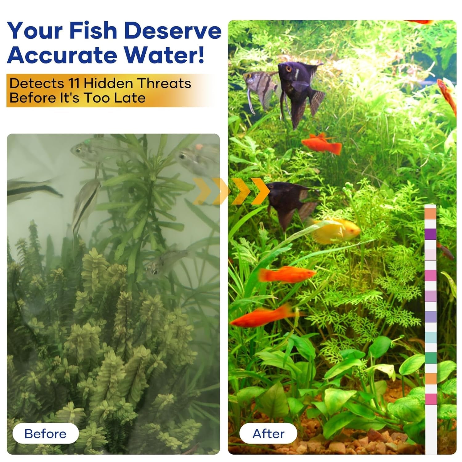11-in-1 Aquarium Water Test Kit — 950 Tests with Thermometer