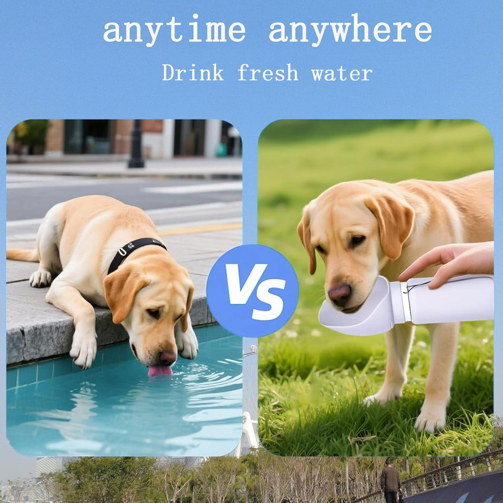 Portable Dog Water Bottle with Collapsible Travel Bowl