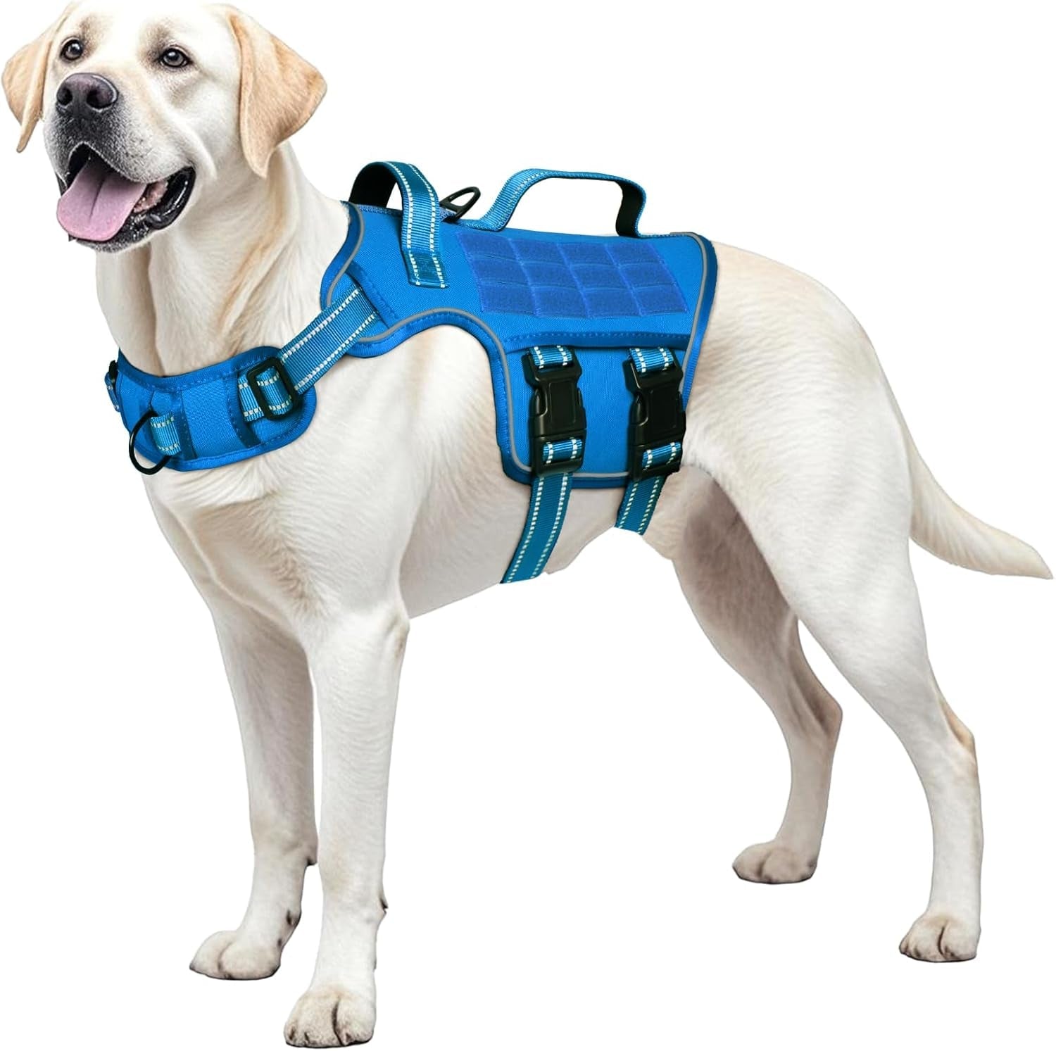 No-Pull Tactical Dog Harness with Molle System