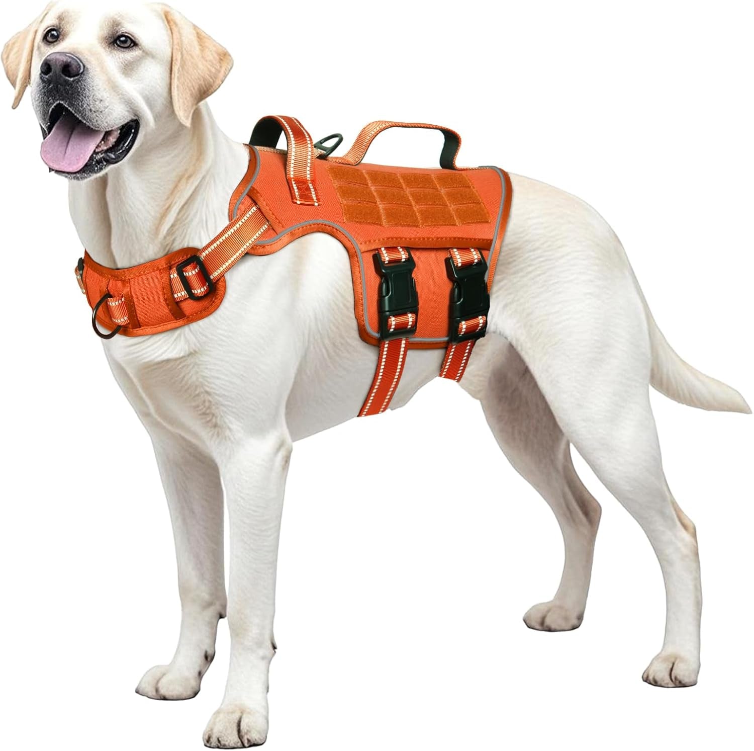 No-Pull Tactical Dog Harness with Molle System