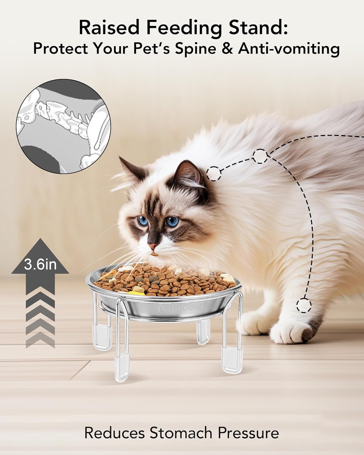 Elevated Stainless Steel Cat & Small Dog Bowls