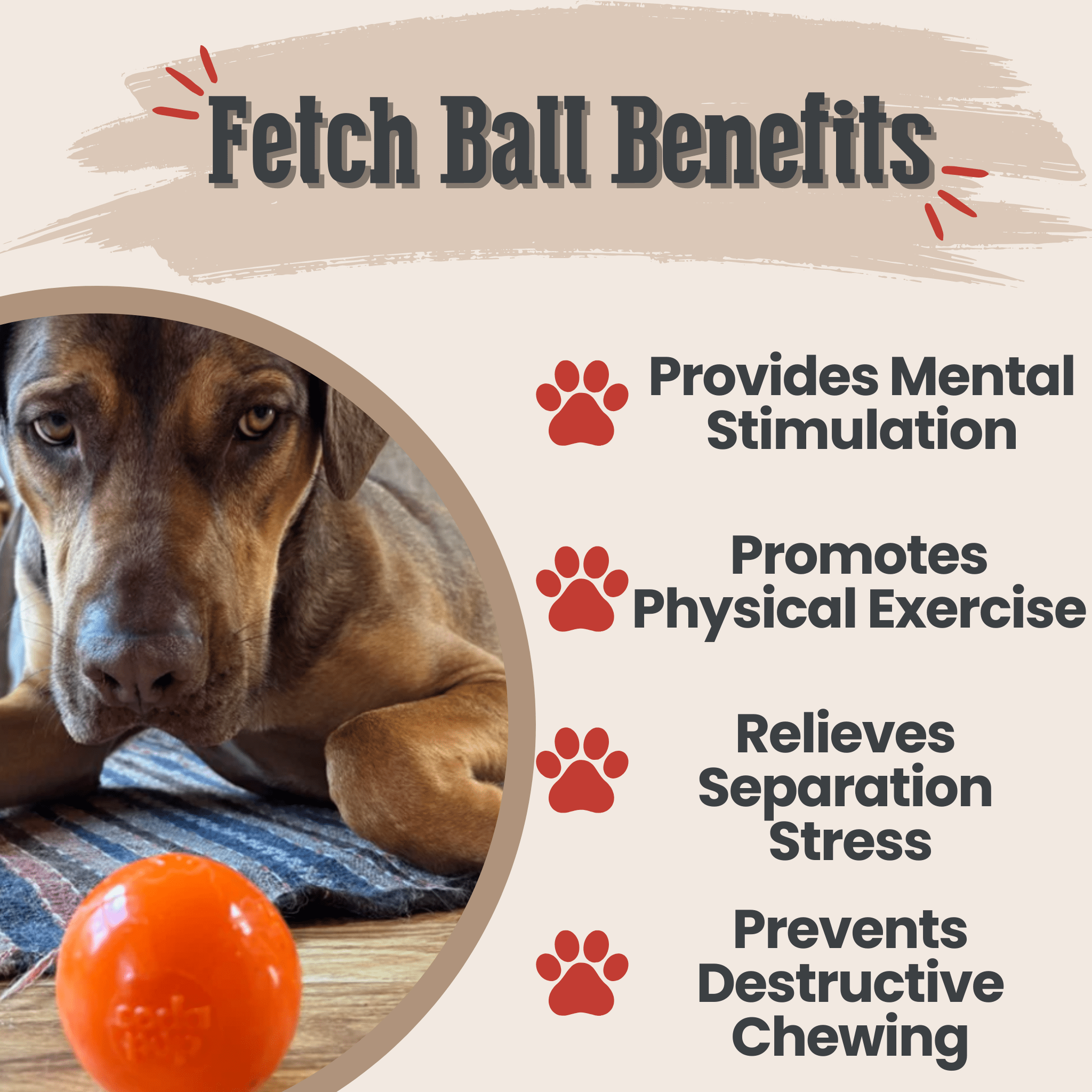 Interactive Dog Fetch Balls