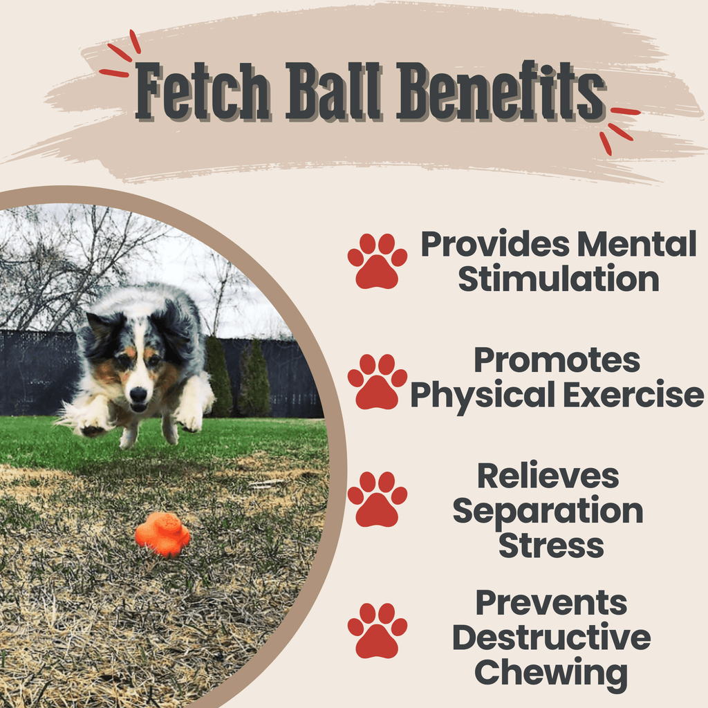 Interactive Dog Fetch Balls
