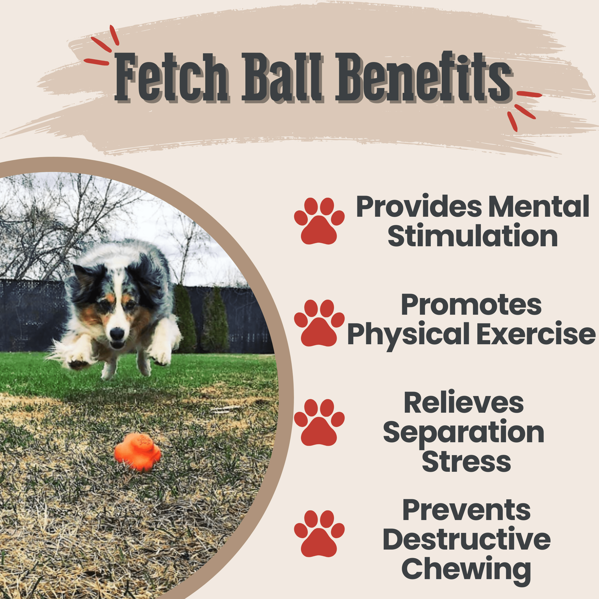 Interactive Dog Fetch Balls