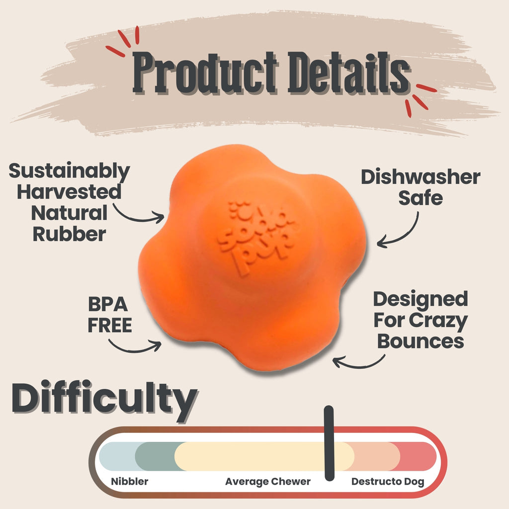 Interactive Dog Fetch Balls