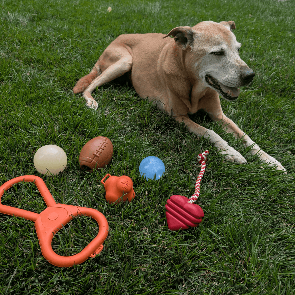 Interactive Dog Fetch Balls