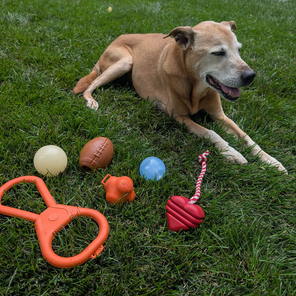 Interactive Tug & Chew Toys for Dogs