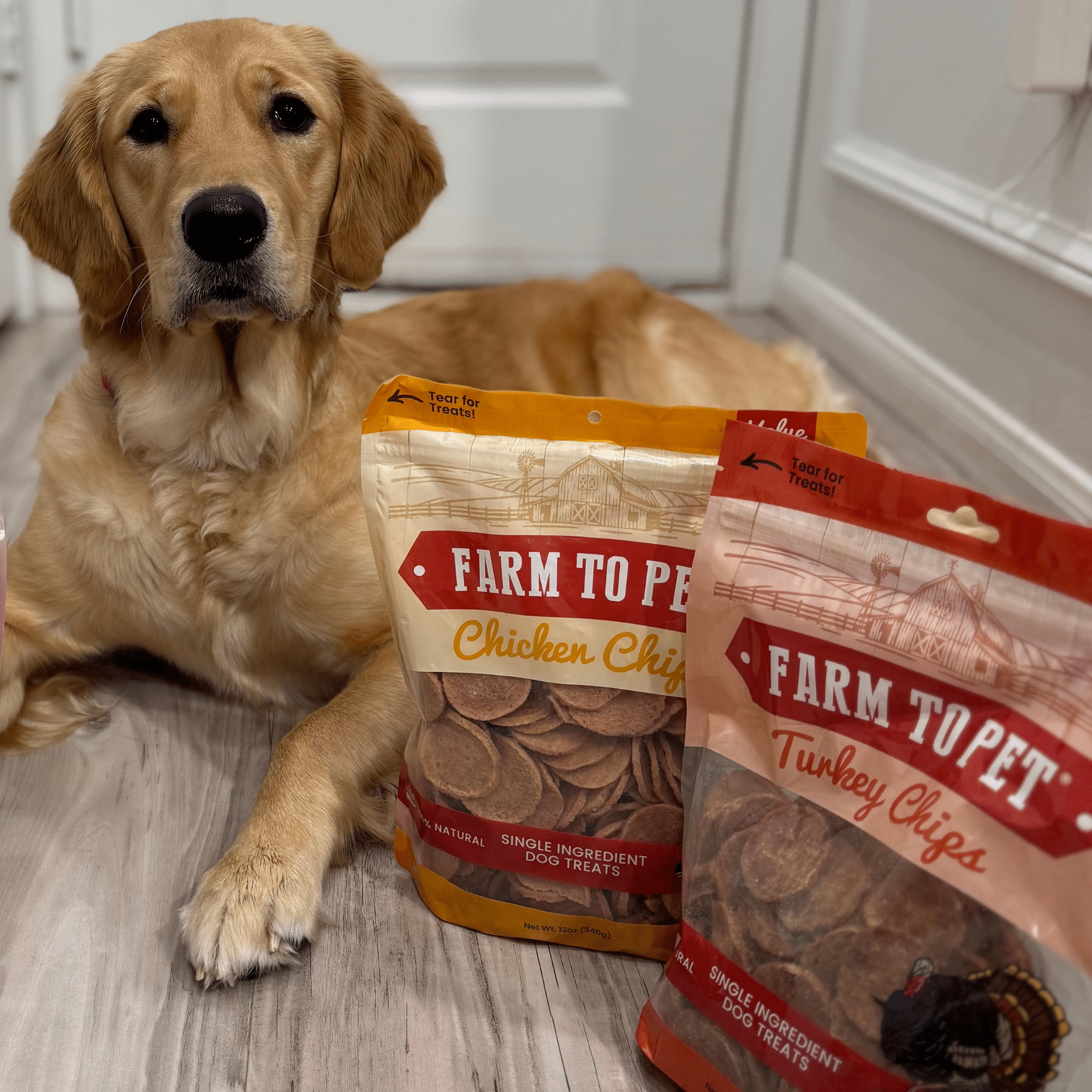 Turkey & Chicken Chip Dog Treat Duo