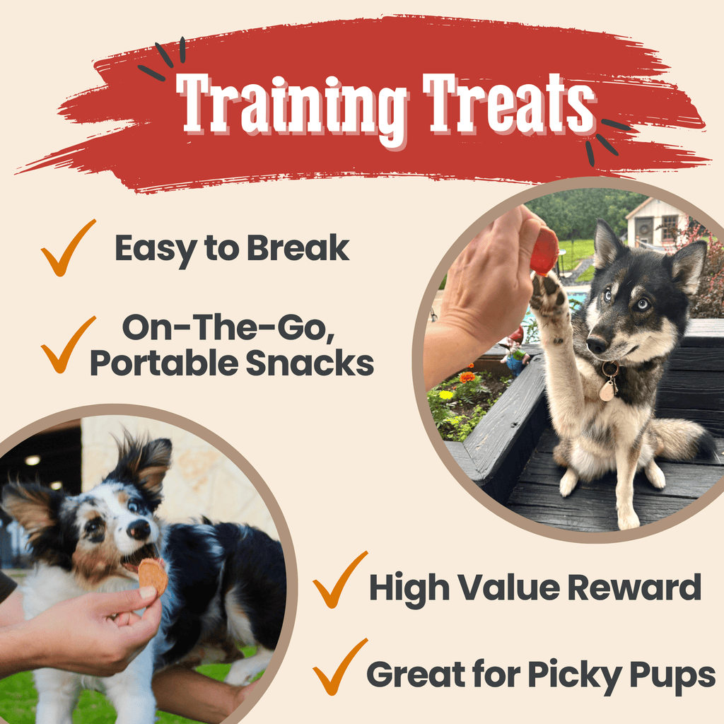 Turkey & Chicken Chip Dog Treat Duo