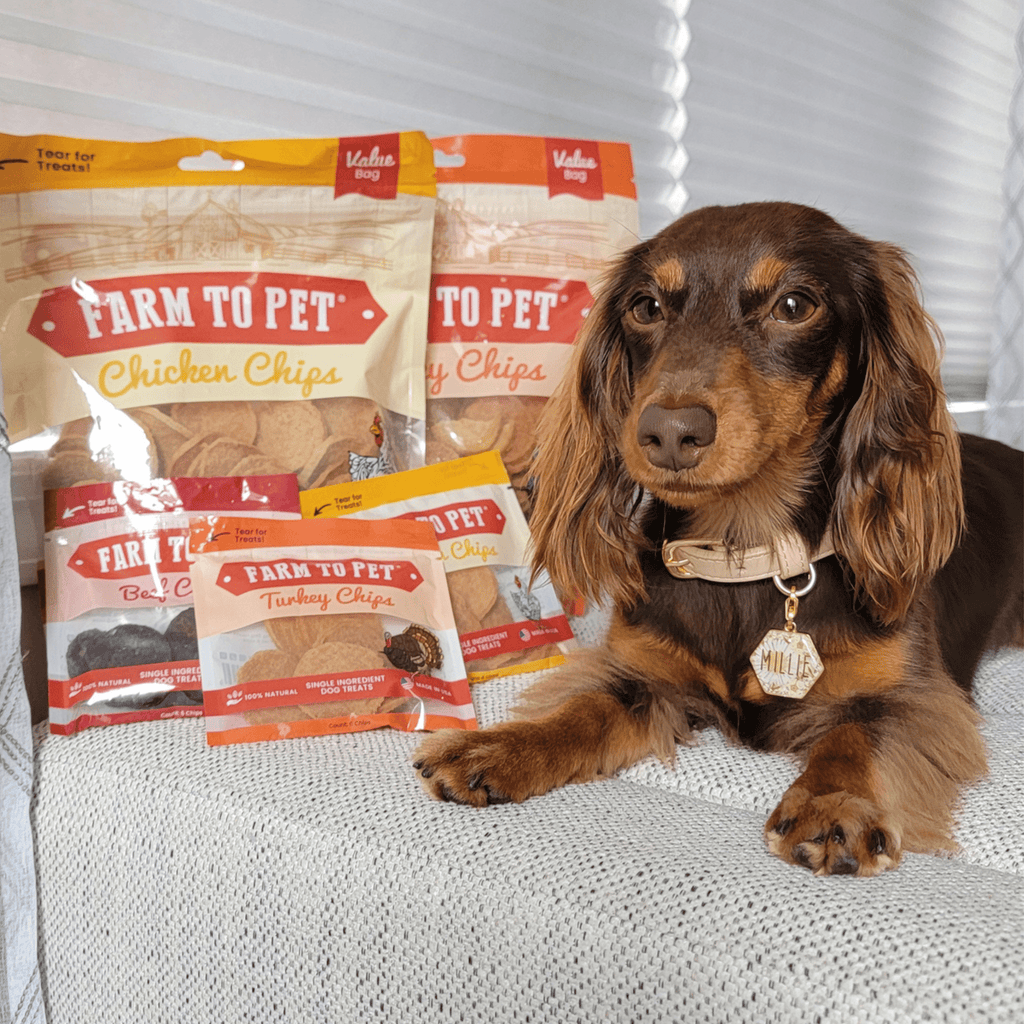 Turkey & Chicken Chip Dog Treat Duo