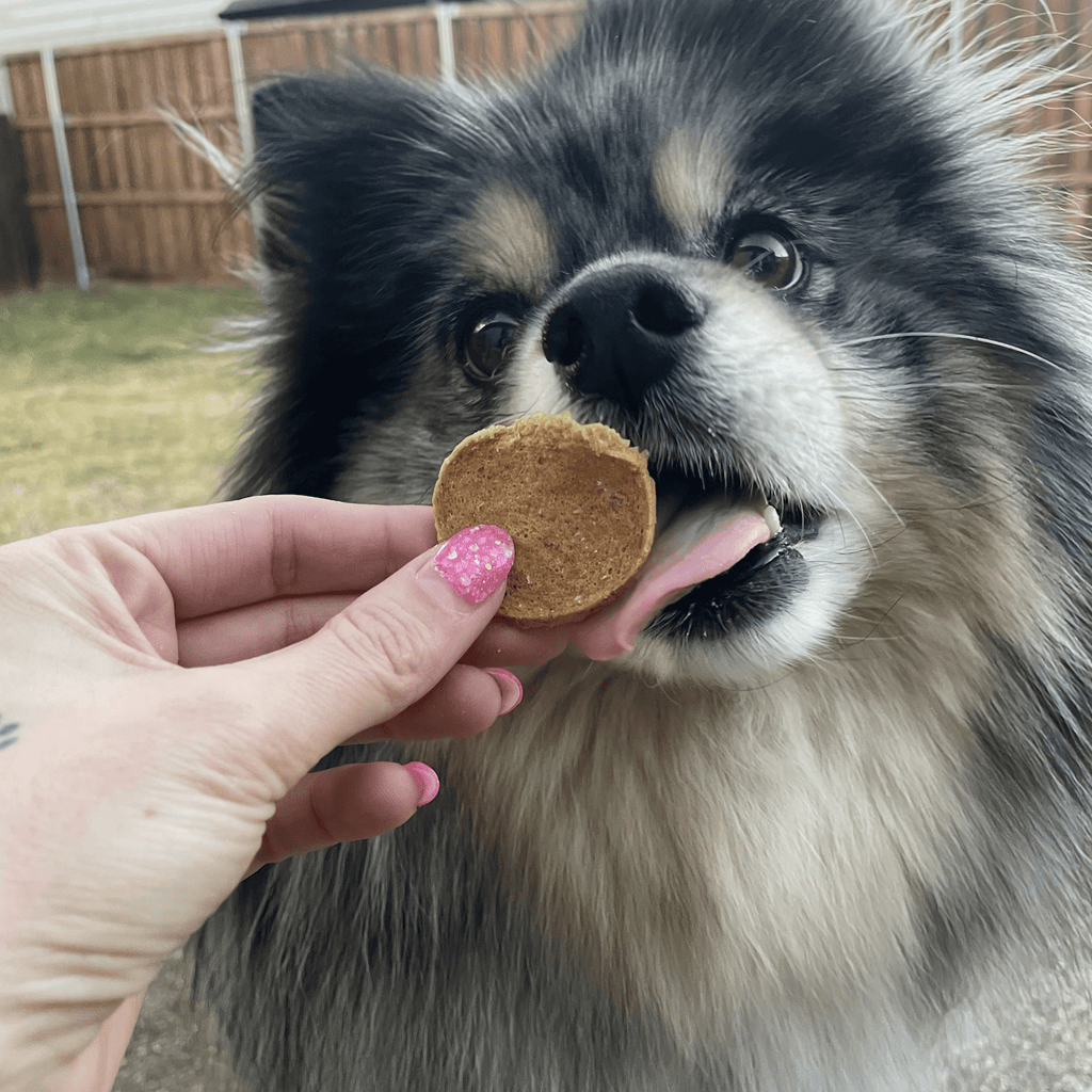 Wild-Caught Walleye Fish Chips for Dogs