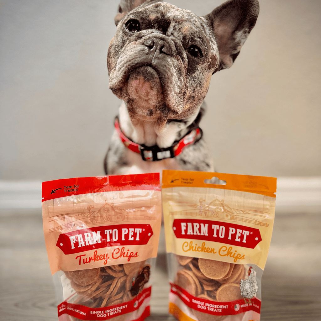 Turkey & Chicken Chip Dog Treat Duo