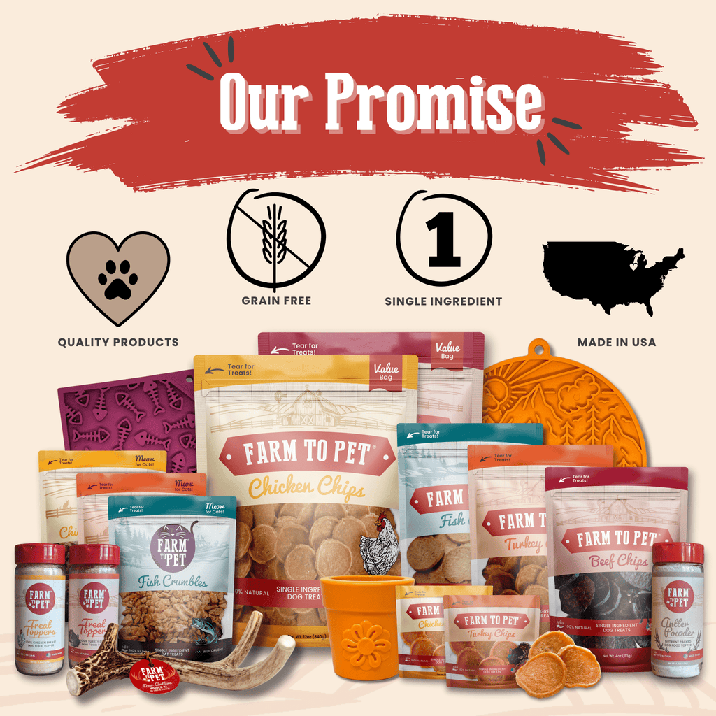 Turkey & Chicken Chip Dog Treat Duo
