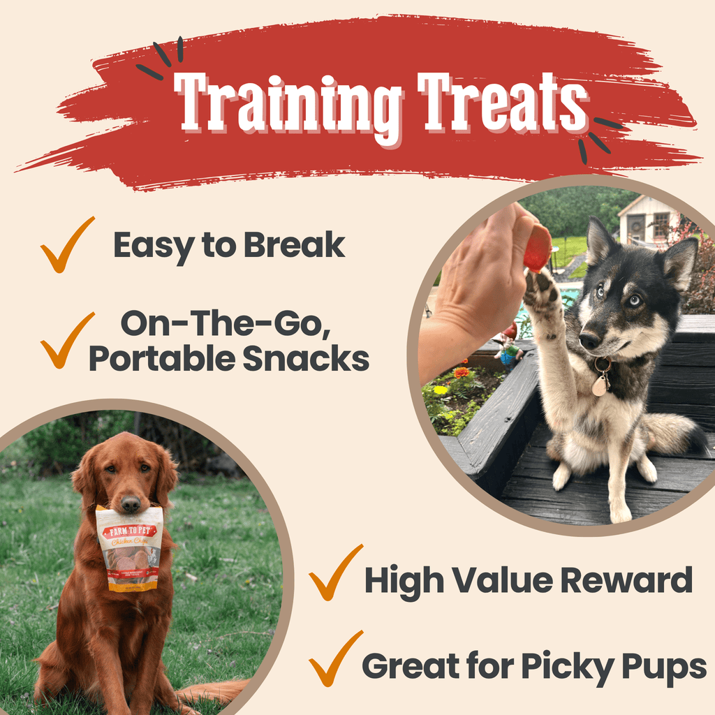 Turkey & Chicken Chip Dog Treat Duo