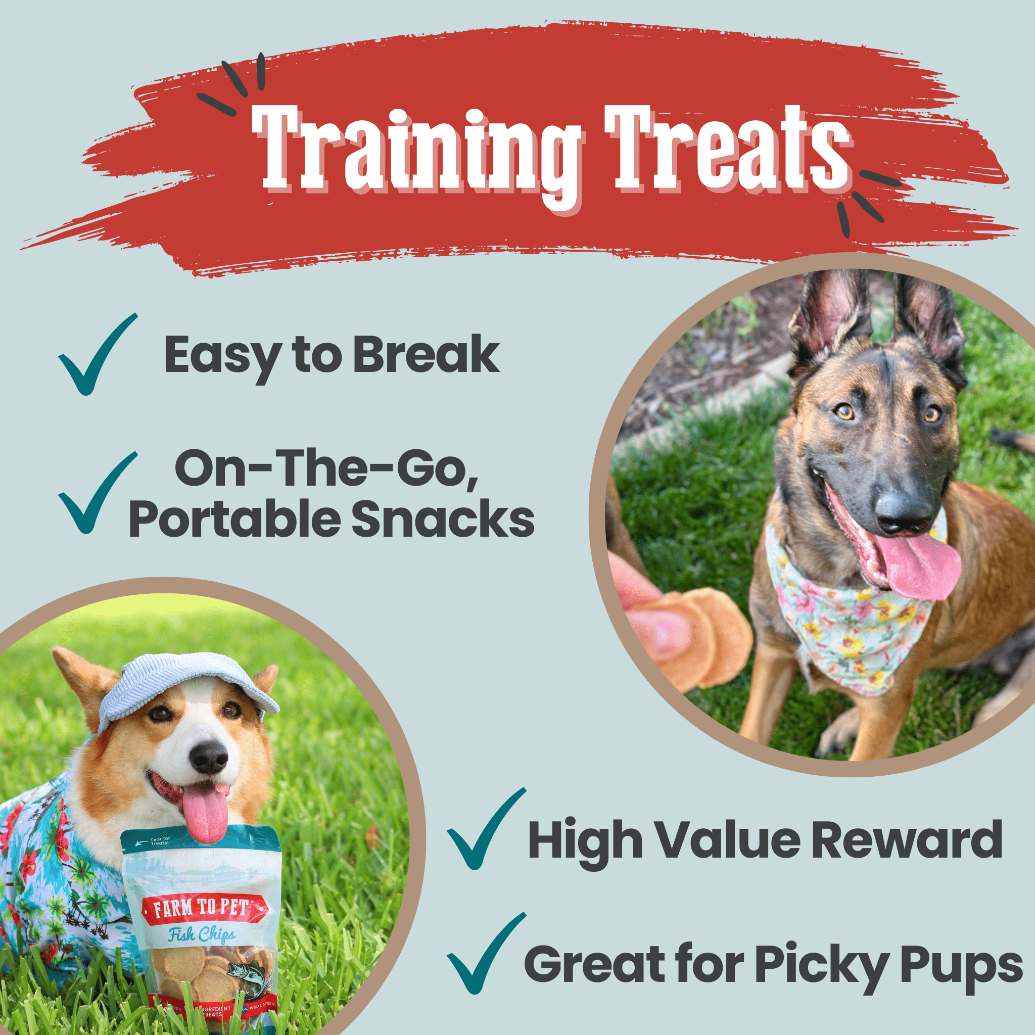Wild-Caught Walleye Fish Chips for Dogs