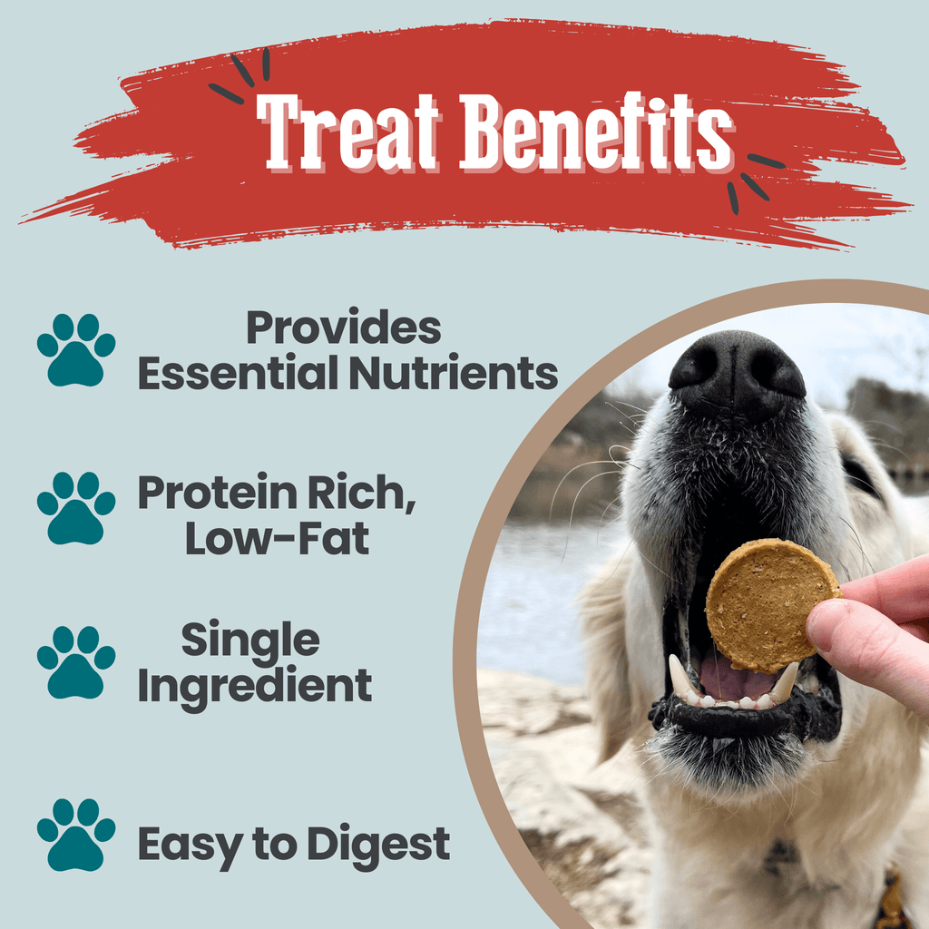 Wild-Caught Walleye Fish Chips for Dogs