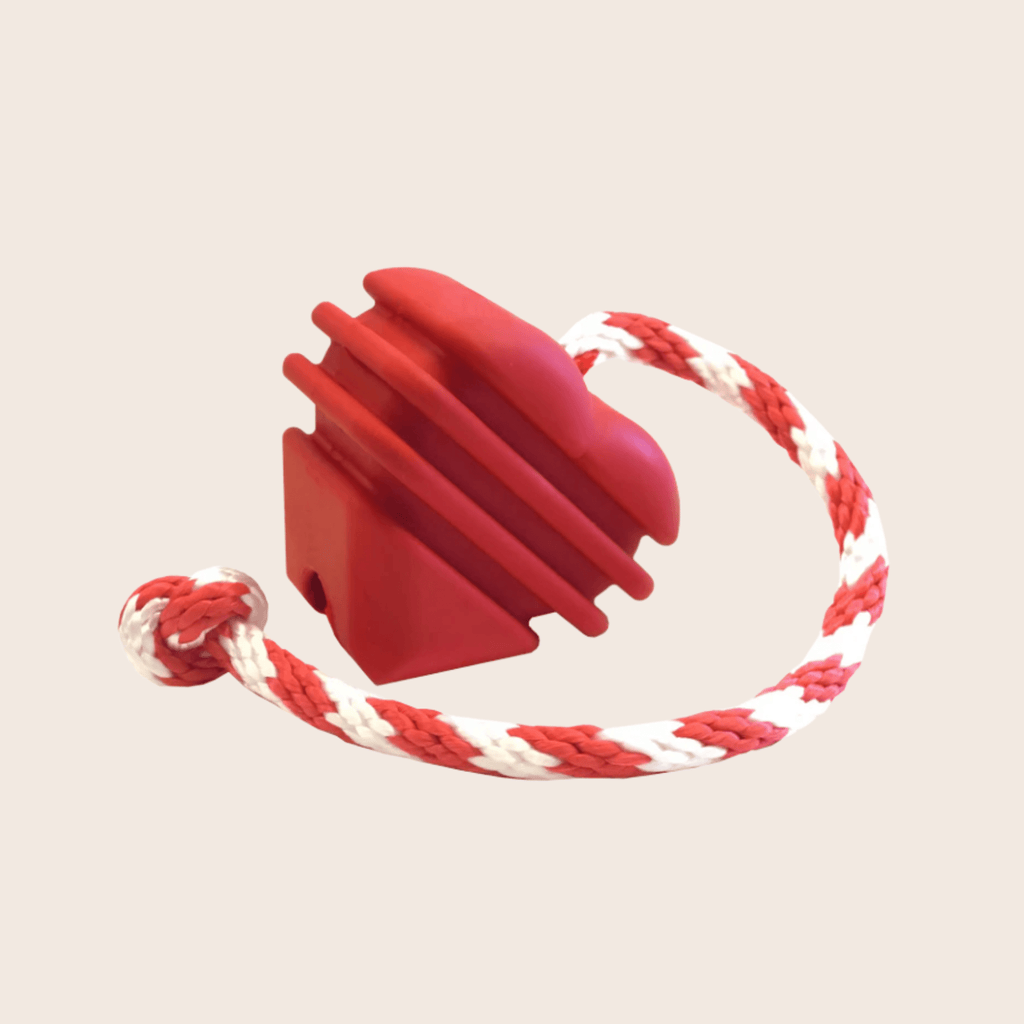 Interactive Tug & Chew Toys for Dogs