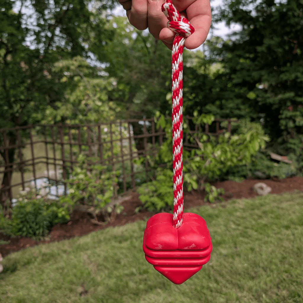 Interactive Tug & Chew Toys for Dogs