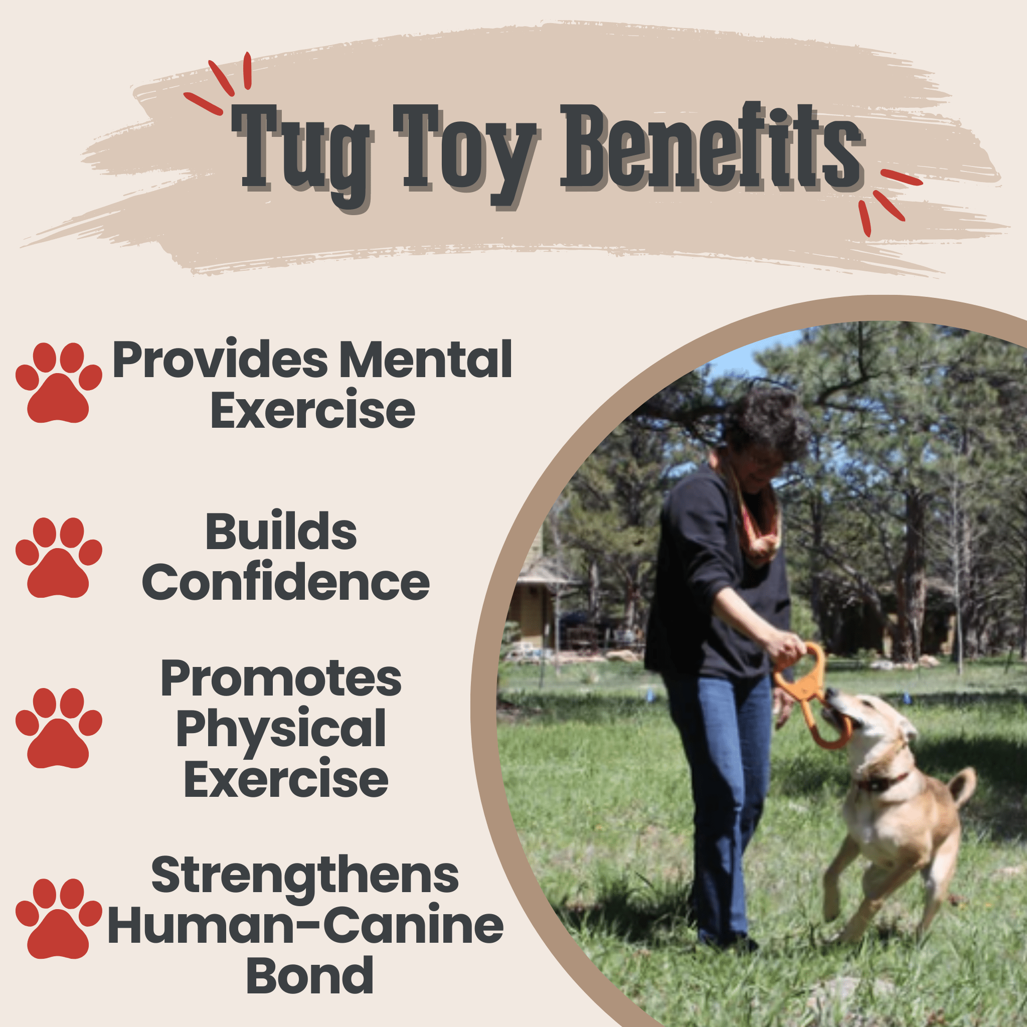Interactive Tug & Chew Toys for Dogs