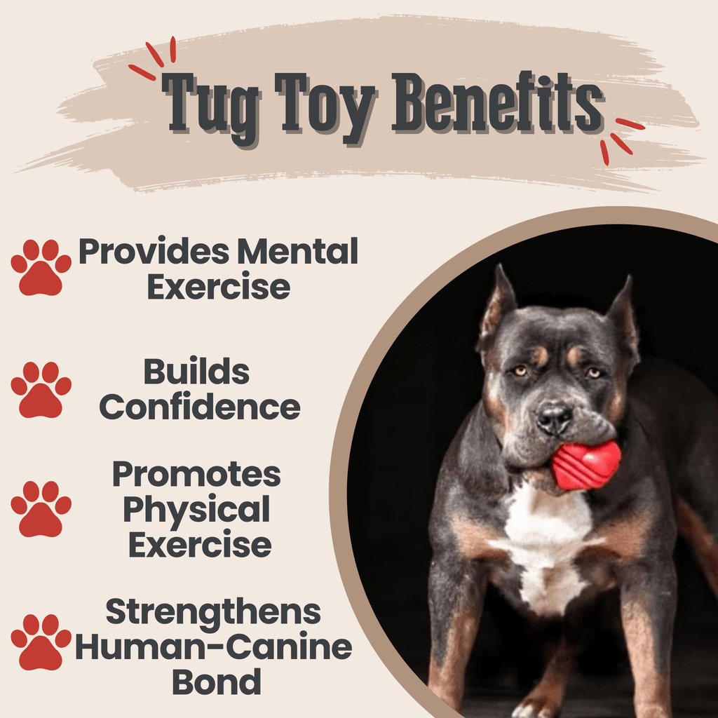 Interactive Tug & Chew Toys for Dogs