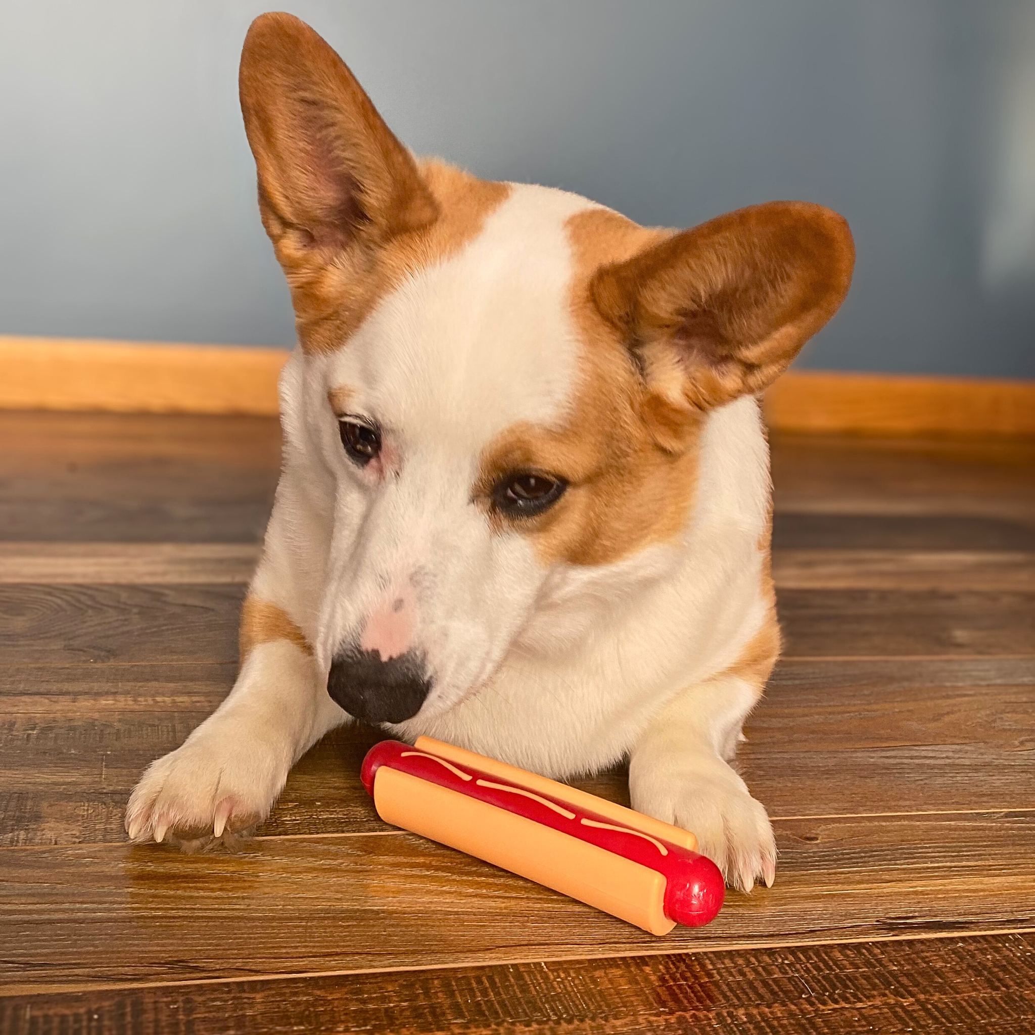 Interactive Tug & Chew Toys for Dogs