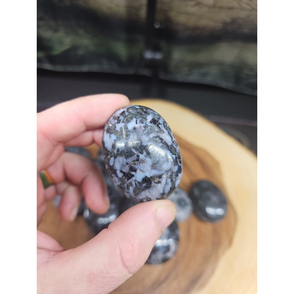 Polychrome Merlinite Gabbro Palm Stones — 5-Piece Set | Natural Crystal from Madagascar