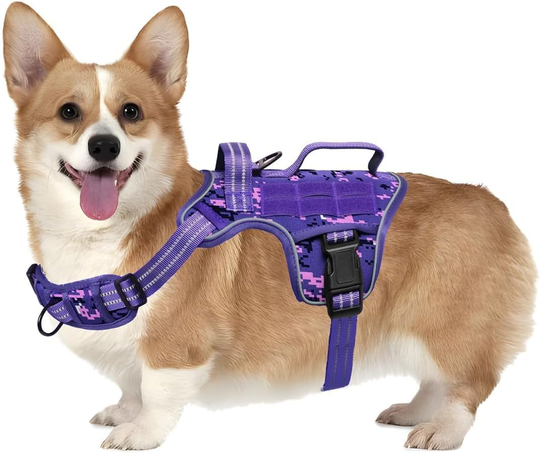 No-Pull Tactical Dog Harness with Molle System