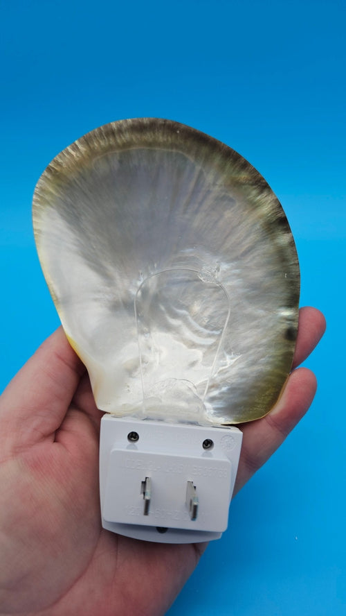 Black Lip Mother of Pearl Shell – Premium Coastal LED Night Light Décor