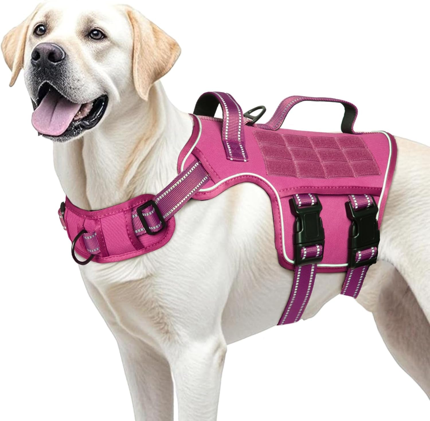 No-Pull Tactical Dog Harness with Molle System