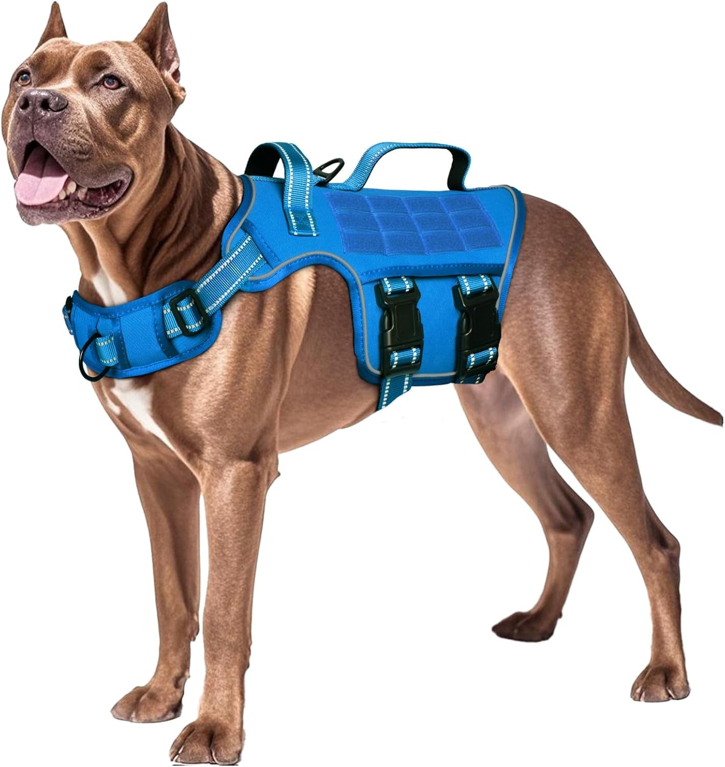 No-Pull Tactical Dog Harness with Molle System