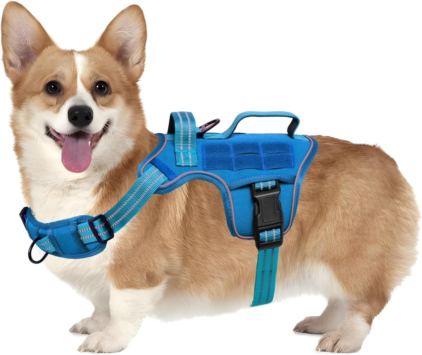 No-Pull Tactical Dog Harness with Molle System