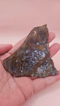 Rhyolite Slab – 60 grams-Natural Beauty from Hatch, New Mexico