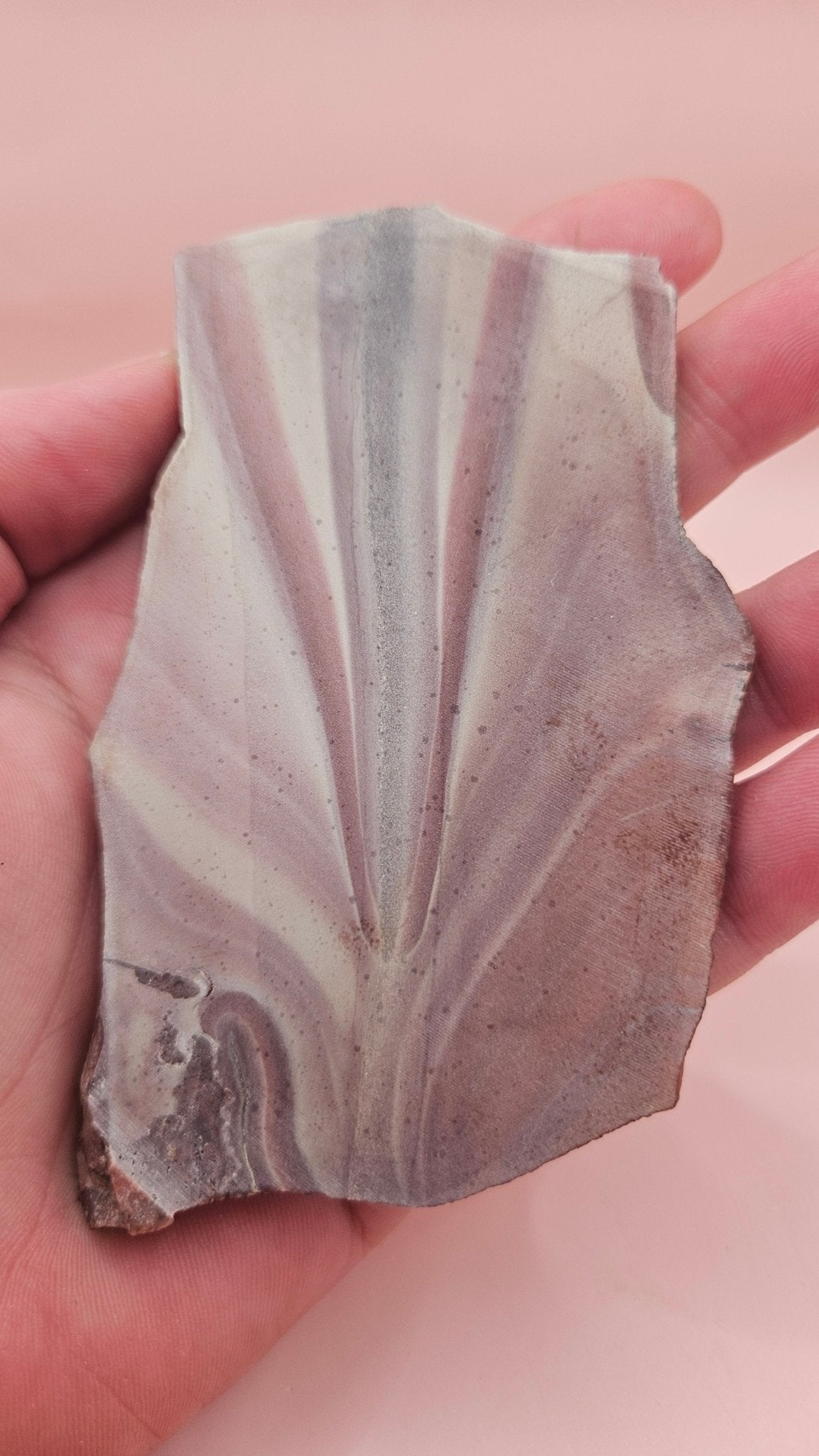 Rhyolite Slab –73 grams- Natural Beauty from Hatch, New Mexico