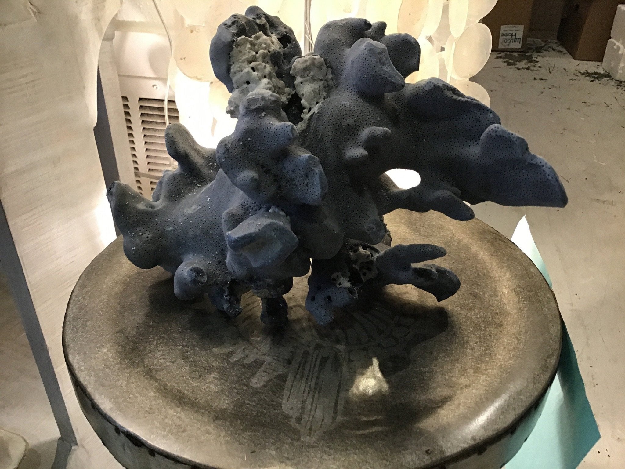 Vintage Blue Ridge Coral- 11"